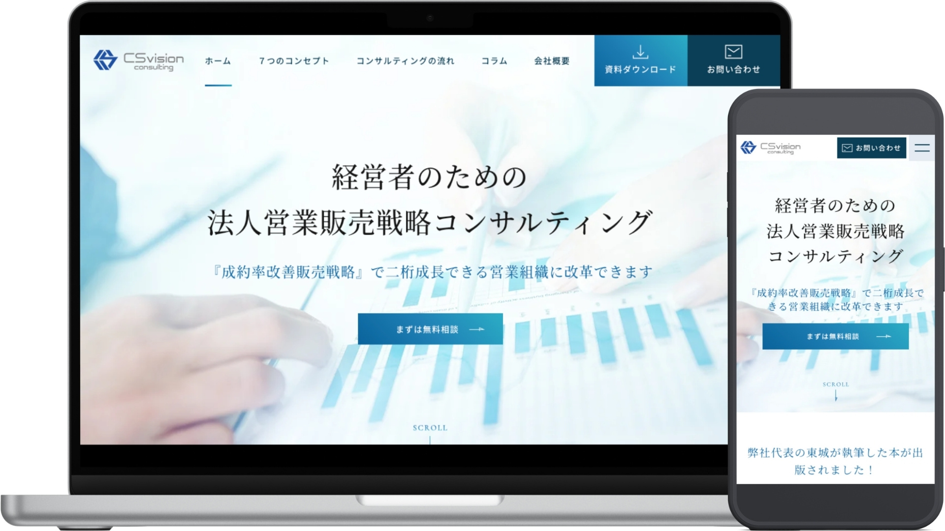 CSvision Consulting, Inc. プロジェクト名